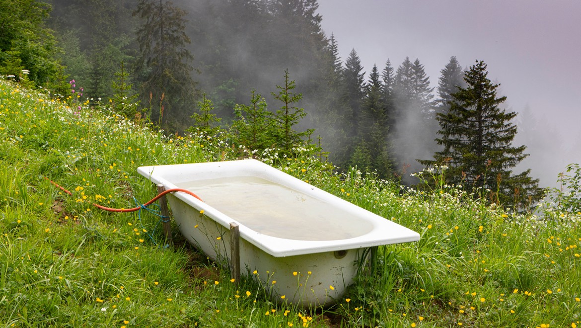 Badewanne im Grünen Badewanne im Grünen